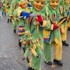 ANR Bildergalerien &raquo; 2026-01 - Narrenumzug  durch Ratzenried 